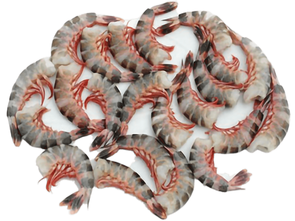 2.Cat-Tiger-Head-Less-Shell-On-Raw